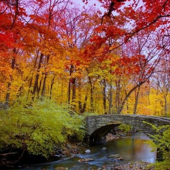 Meet your Posher, RF - Picture 3 of 16